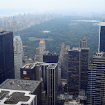 central park in NYC in New York City, United States 