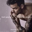 Liam Payne feat. Quavo - Strip That Down