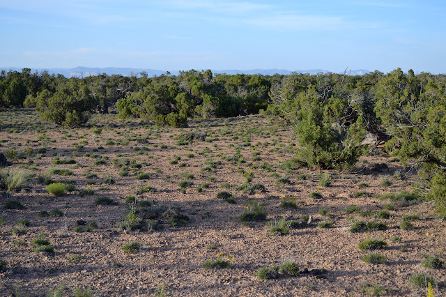 small area of flat land