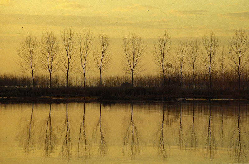 il lago della malinconia di elena_magnani