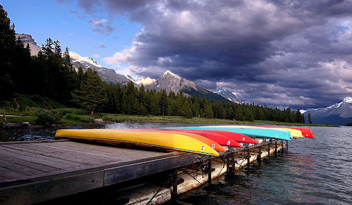 IMAGE: https://lh3.googleusercontent.com/-qHVsIFMD_jY/Tjydb-qffCI/AAAAAAAAAwk/Vn02jOop1v8/IMG_6644_pp.jpg