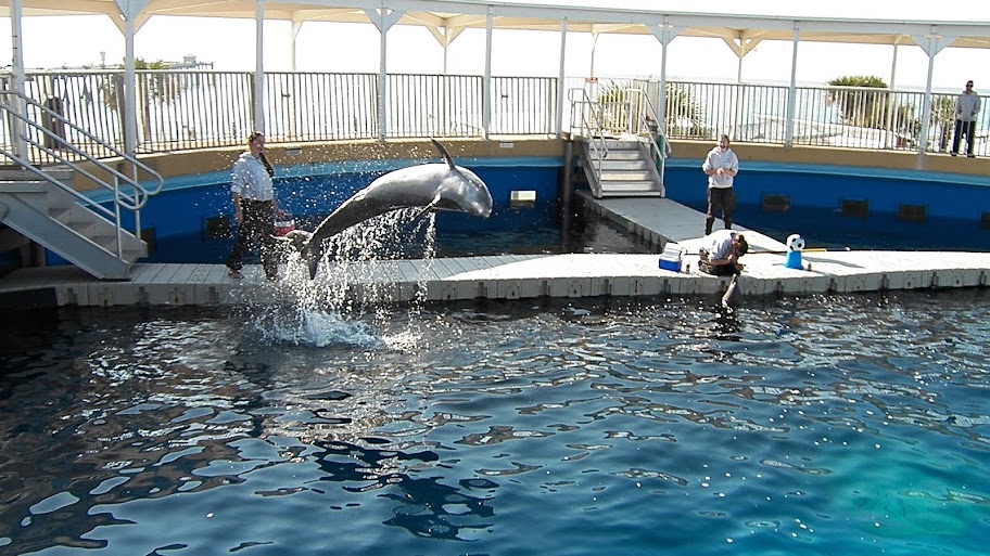 florida gulfarium