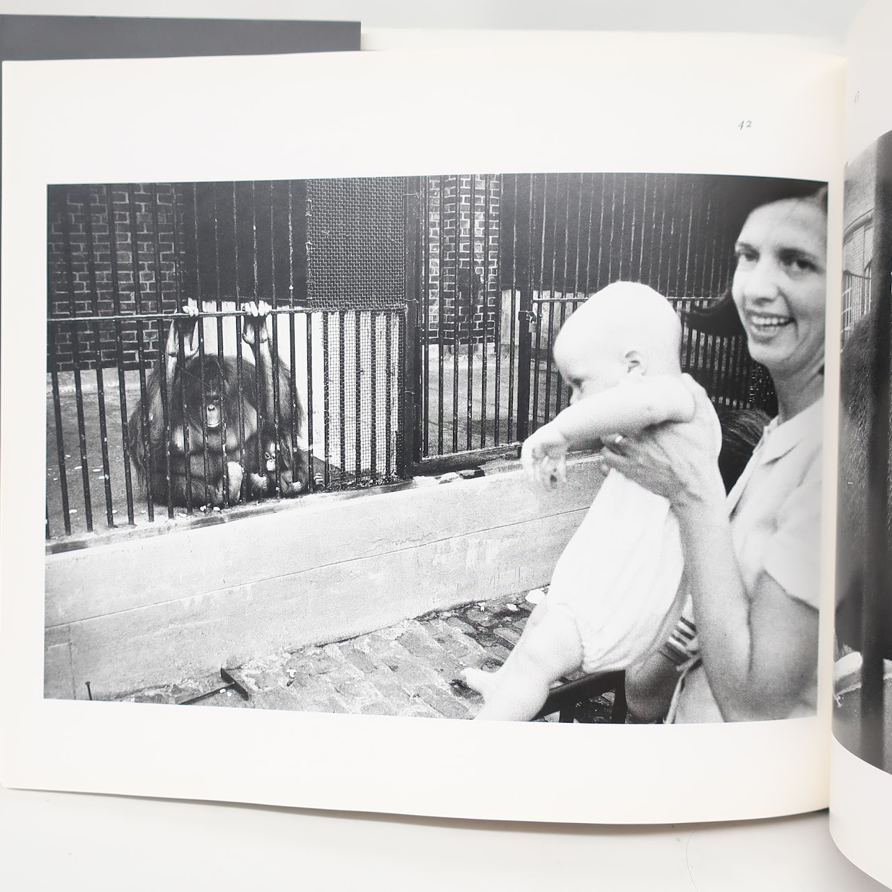 Garry Winogrand: The Animals OOP Photography Book