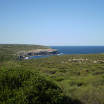 The track goes through the scrub following the coast (31213)