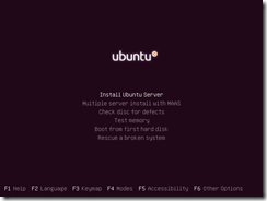 ubuntu-install-01