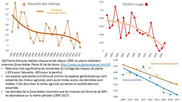 Bird populations in France, 1995-2017. CNRS results on the workshop area 'Plaine & Val de Sèvre'. Graphic: CNRS