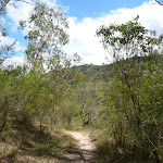 Six Foot Track east of the Coxs River (413489)