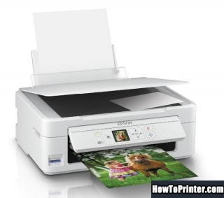 Reset Epson XP-325 printer by Resetter program