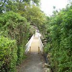 Manly Scenic Walkway (39180)