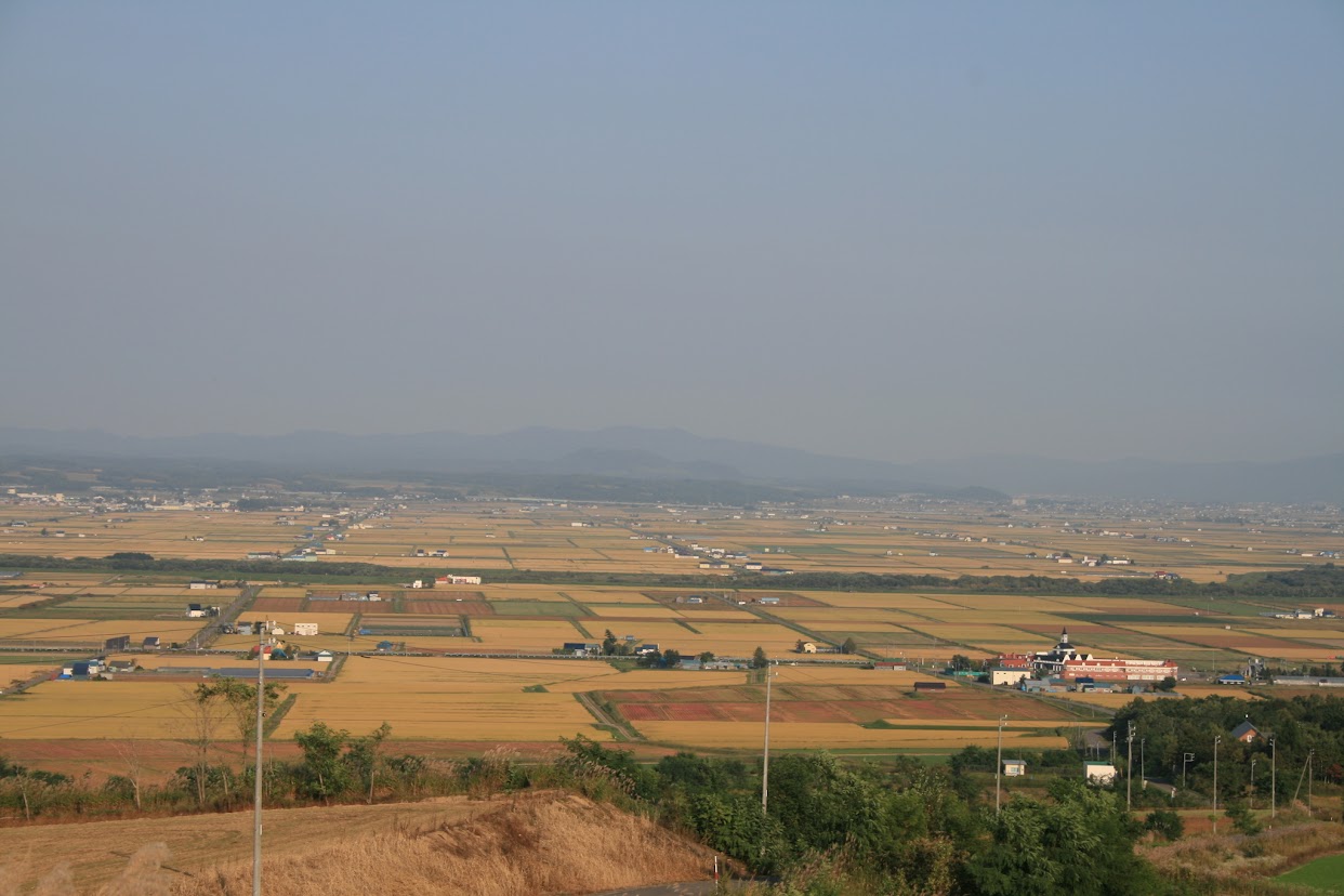 黄金色の風景（３）