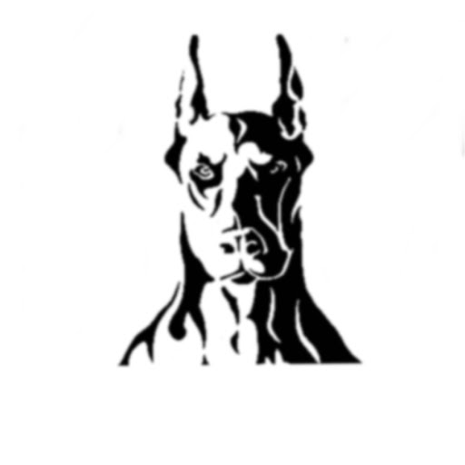 DOG's Athletic Performance LLC logo