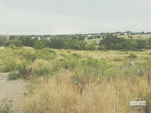 Golf Course «David A. Lorenz Regional Park Disc Golf Course», reviews and photos, 8422 South Colorado Boulevard, Highlands Ranch, CO 80126, USA