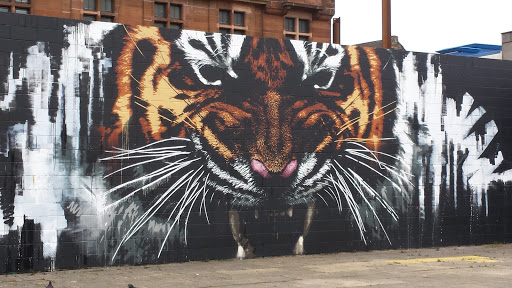 Tiger Mural