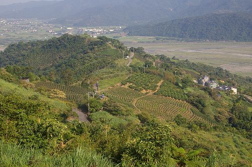 宜蘭民宿,河風。玉蘭茶園