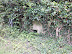 Hidden WWI pill box by the side of the Mundesley Road, up the hill from the Dilham Canal