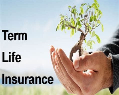 Term Insurance என்றால் என்ன? Term Insurance Benefits In Tamil