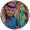 سعود الصالح