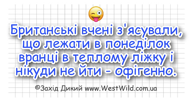 Гумор, анекдоти та приколи про ДОБРОГО РАНКУ