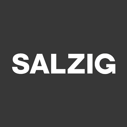 SALZIG Berlin logo