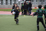 U8 (2008) - Courbevoie vs Suresnes et RCP15 - 30 jan. 2016