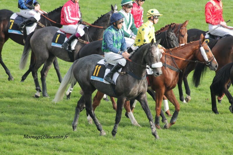 Photos Auteuil 8-11-2015 (48h de l'obstacle) IMG_6780