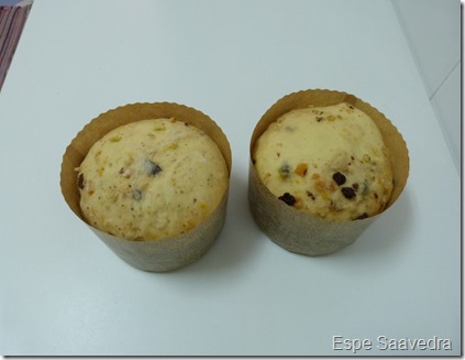 panettone espe saavedra (6)