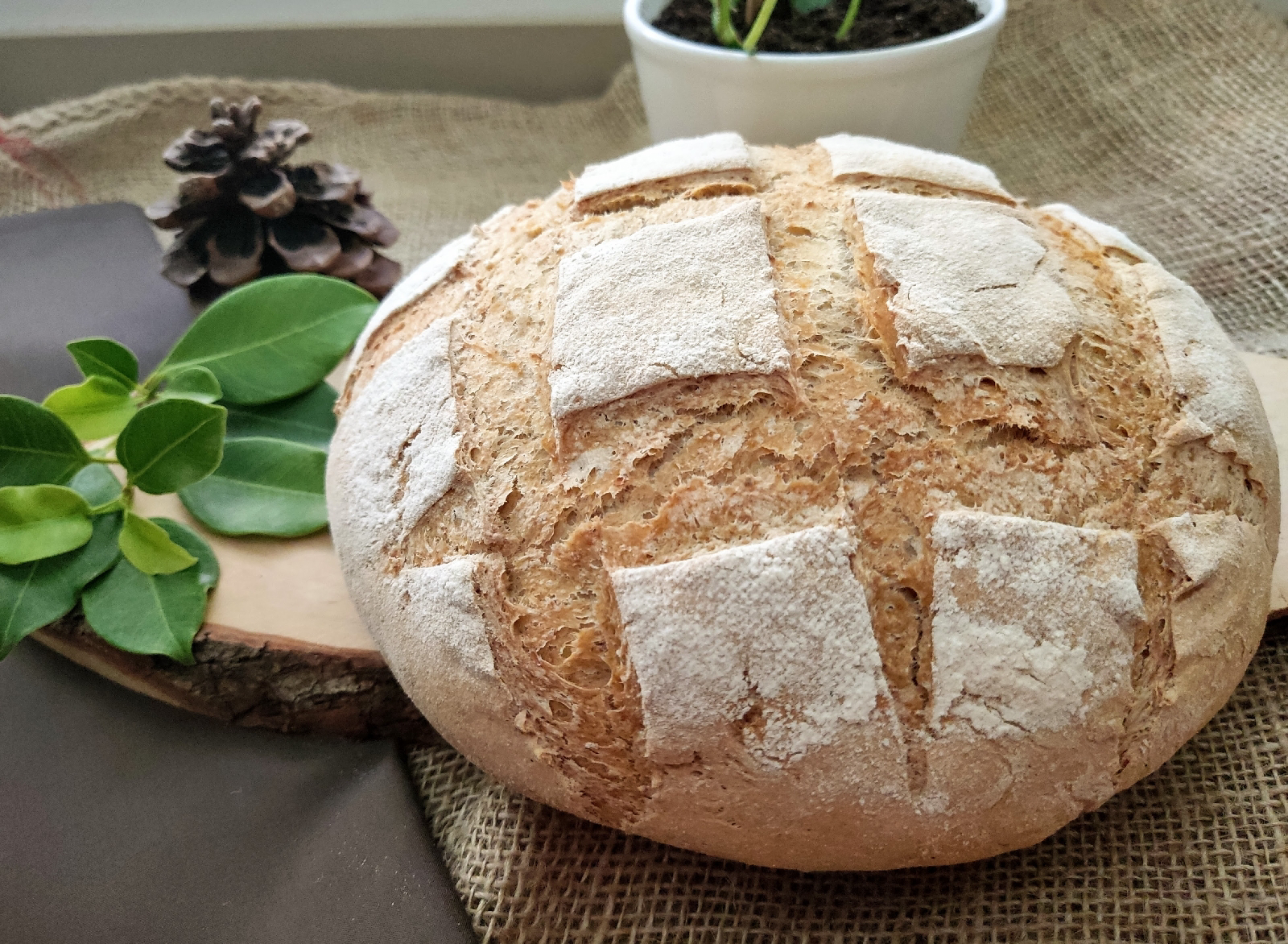 Pan rápido de Espelta Blanca en Panificadora