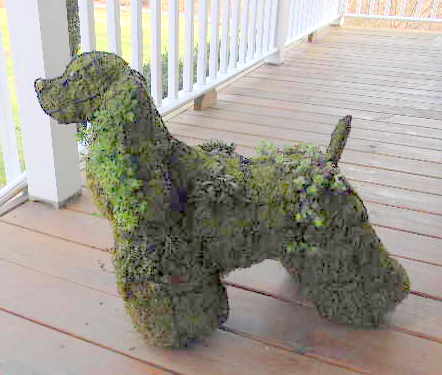 Corgis In My Garden: Corgi Topiary