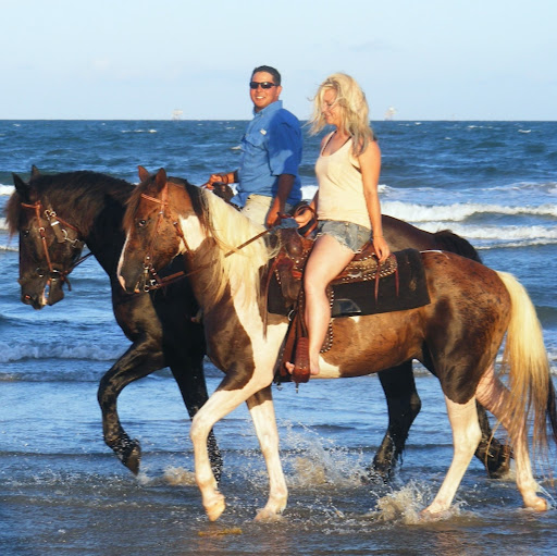 Horses on the Beach logo