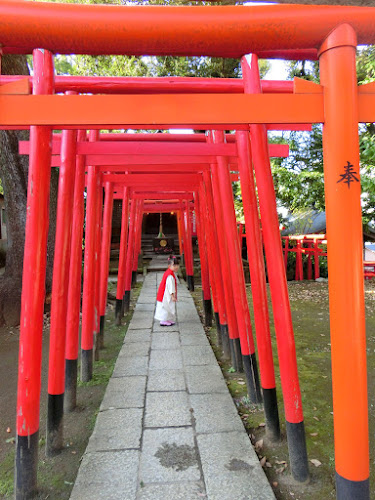 品川神社 七五三お参り 写真撮影 アラフォーol マタニティー 子育て Diary