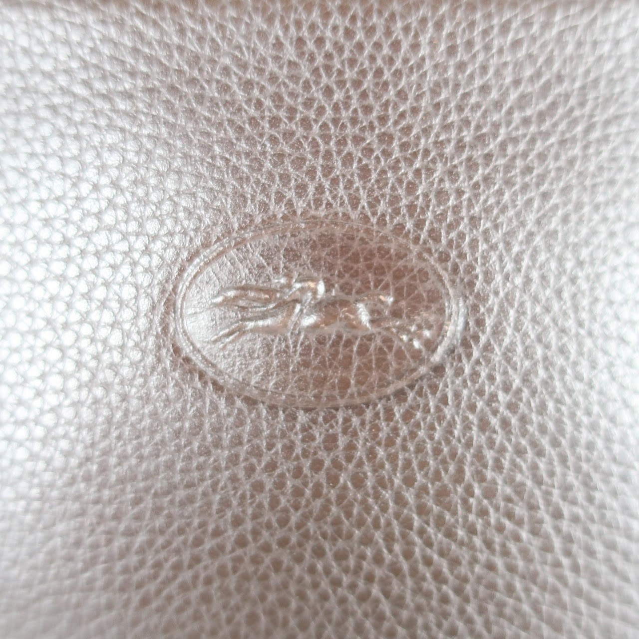 Longchamp Brown Shoulder Bag