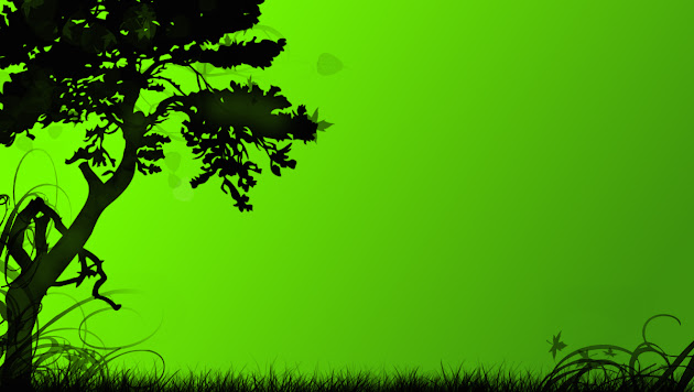 Cover photo