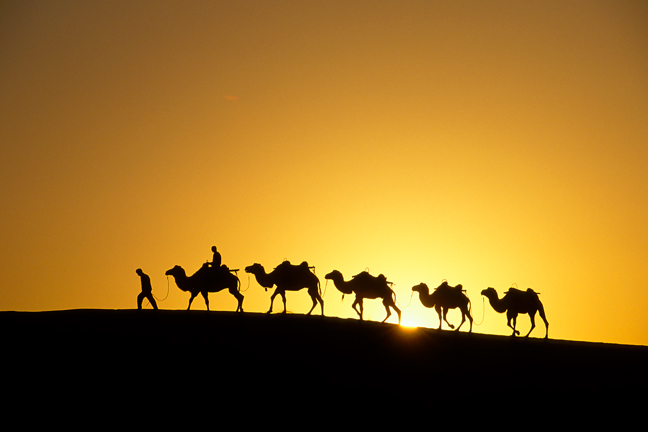 파일:external/michaelfairchild.com/Sunrise-Camel-caravan.jpg