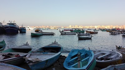 Photos of El Anfoushi