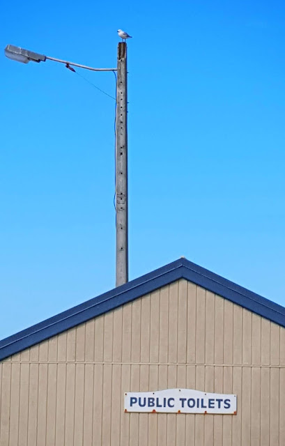 Photo of a beach toilet with a gull onto of a tall lamp post