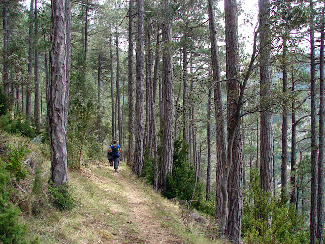 Senderismo - Coll de la Creu - Punta Boixet - Alt de la Coscollosa - Barranc de la Coscollosa