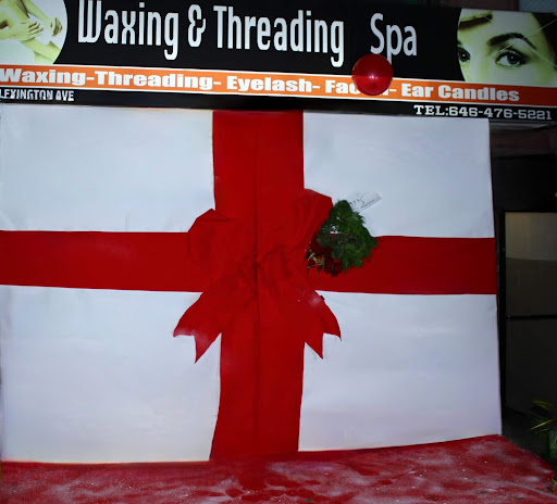 Waxing & Threading Spa logo