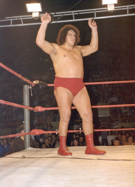 Andre the Giant Dp Profile Pics Andre the Giant