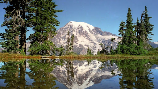 Tahoma's Looking  Glass, Mt. Rainier National Park, Washington.jpg