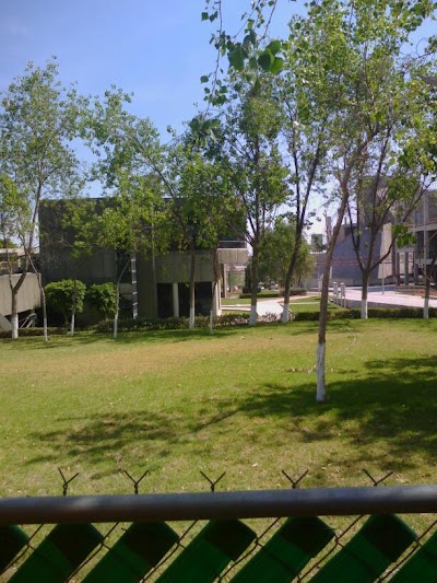 Photos of CEMEX