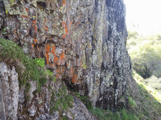 Nature Preserve «North Table Mountain Ecological Reserve», reviews and photos, 2488 Cherokee Rd, Oroville, CA 95965, USA