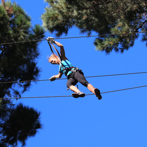 Adrenalin Forest Christchurch logo