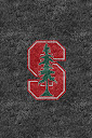 Stanford%252520Cardinal%252520Black.jpg