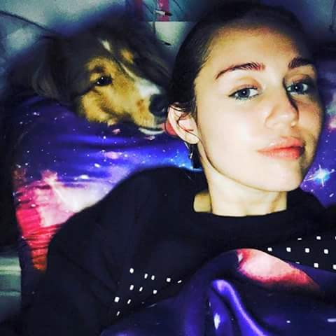 Miley Cyrus Beautiful Pics Whatsapp