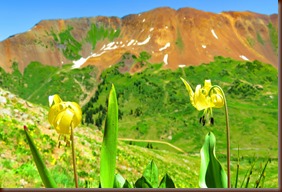 Crested Butte95-12 Jul 2016