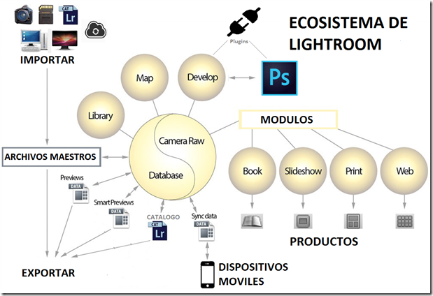 ECOSISTEMA