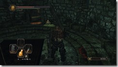 DarkSoulsII 2017-01-13 22-18-05-80