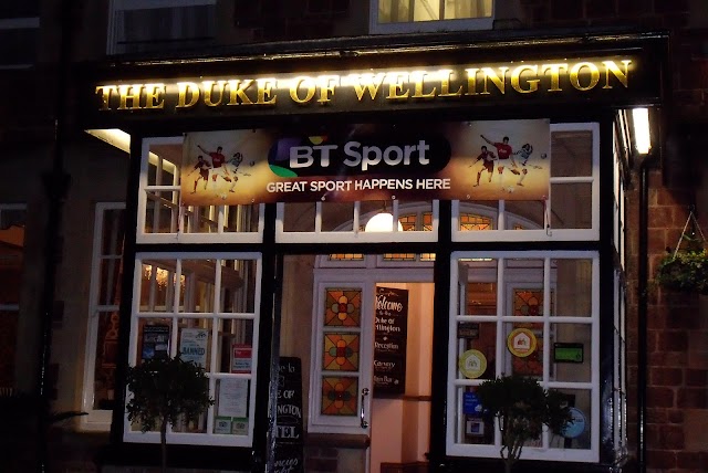 The Duke Of Wellington