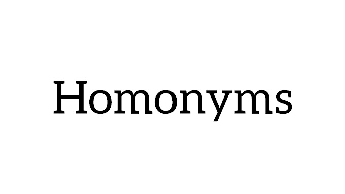 Homonyms 