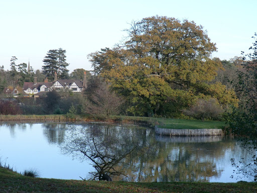 CIMG0301 Large garden pond, Hever